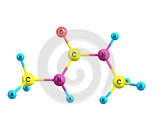 Dimethylurea molecule isolated on white