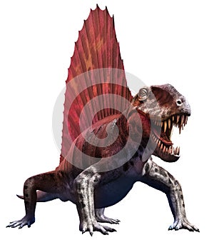 Dimetrodon