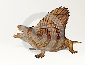 A Dimetrodon, a Permian Predatory Reptile