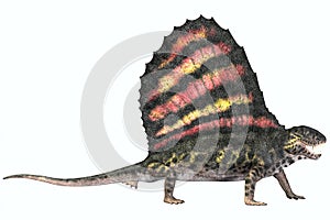 Dimetrodon Permian Reptile