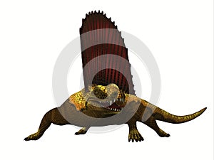 Dimetrodon Reptile