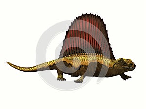 Dimetrodon Reptile Profile