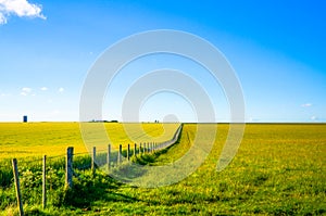 Diminishing perspective of a countryside fence