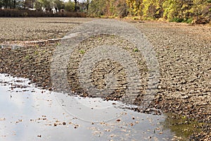 Diminishing water and drought in the pond