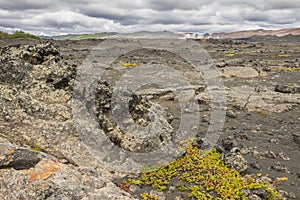 Dimmuborgir area, volcanic landscape - Iceland.