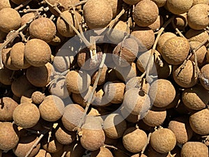 Dimocarpus longan, pile of fresh longan fruit for sale, longan fruit is generally sweet and delicious