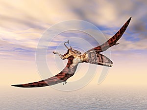 Dimorphodon