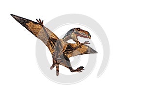 Dimorphodon Dinosaur on white background