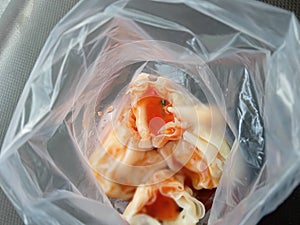 Dimsum tood with saos papers