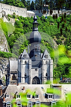 Dinant bird fly view