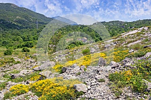 Dinaric Alps, summer mountain landscape. Montenegro