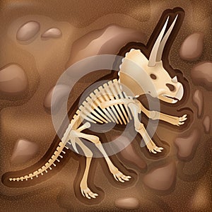 Dinasaur bones fossil illustration picture