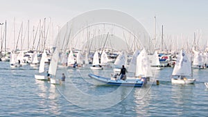 Dinghy small sailboat regatta competition on windy sea, watersport team club