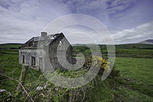 Dingle Cottage, County Kerry, Ireland