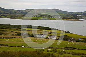Dingle Harbor, Ireland