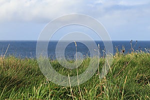 Dingle Peninsula - landscape - shades of blue and green-  Ireland nature tour - Irish holidays