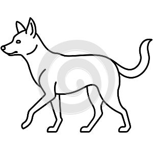 Dingo dog walks icon vector