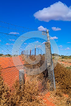 Dingo Fence