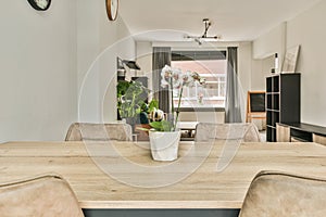 Dining area in comfortable living room