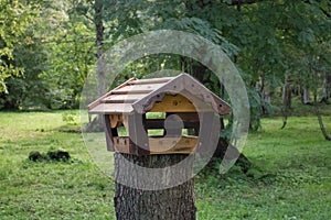 This dining room for the birds in the forest