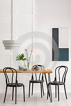 Dining room interior with black wooden chairs and green plants