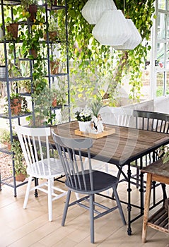 Dining room interior with table, chairs and plants against big w