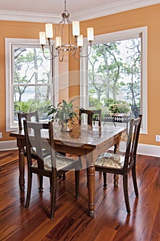 Dining room with view