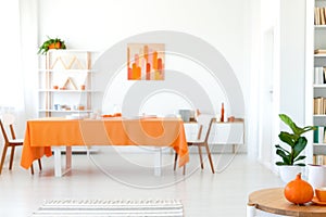 Dining room in vivid color. Orange tablecloth on long table with white chairs