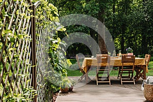 Dining table covered with orange tablecloth standing on wooden terrace in green garden