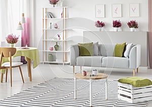 Dining table with green tablecloth in bright scandinavian living room with white and wooden furniture, grey sofa and striped