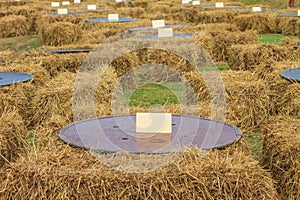 Dining table set outdoor