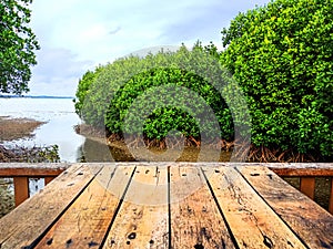 Dinner at forest,  perspective background