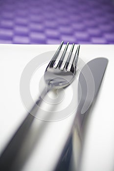 Dinner Fork and Knife