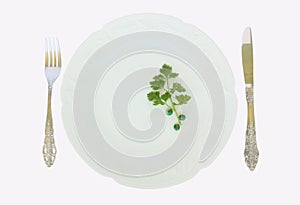 A dinner plate fork and knife