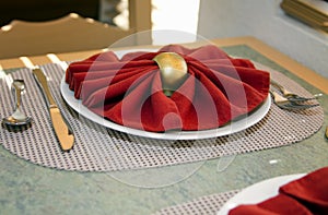 Dinner Plate Table Place Setting