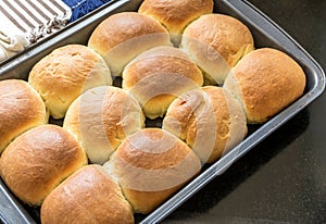 Dinner Rolls - Group of Twelve Butter Bun in a Baking Tray photo