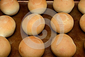 Dinner rolls