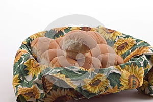 Dinner Rolls in a Basket 2