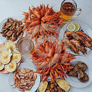 Dinner with seafood and beer