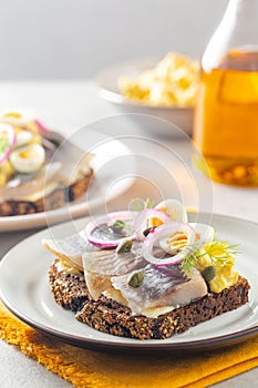 Dinner with Smorrebrod - openfaced scandinavian samdwich with butter, herring fish