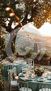 Dinner Table Set Up Under a Tree photo