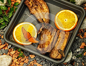 Dinner time for exotic butterflies at Antipa Museum