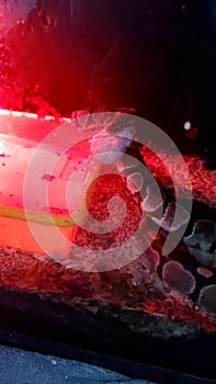 Dinner time for sizzle