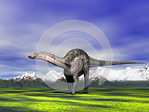 Dino Dicraeosaurus