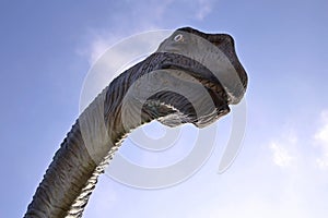 Dinosaur against the blue sky background