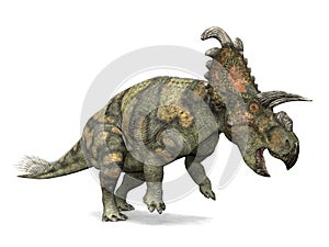 Dinosaur Albertaceratops