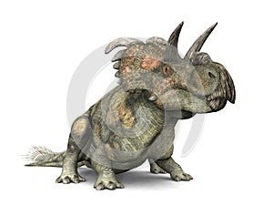 Dinosaur Albertaceratops