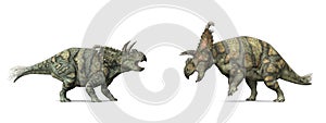 Dinosaur Albertaceratops