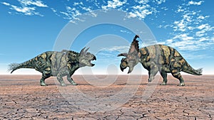 Dinosaur Albertaceratops