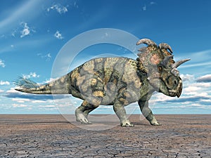 Dinosaur Albertaceratops